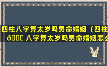 四柱八字算太岁吗男命婚姻（四柱 🐅 八字算太岁吗男命婚姻怎么样 🌲 ）